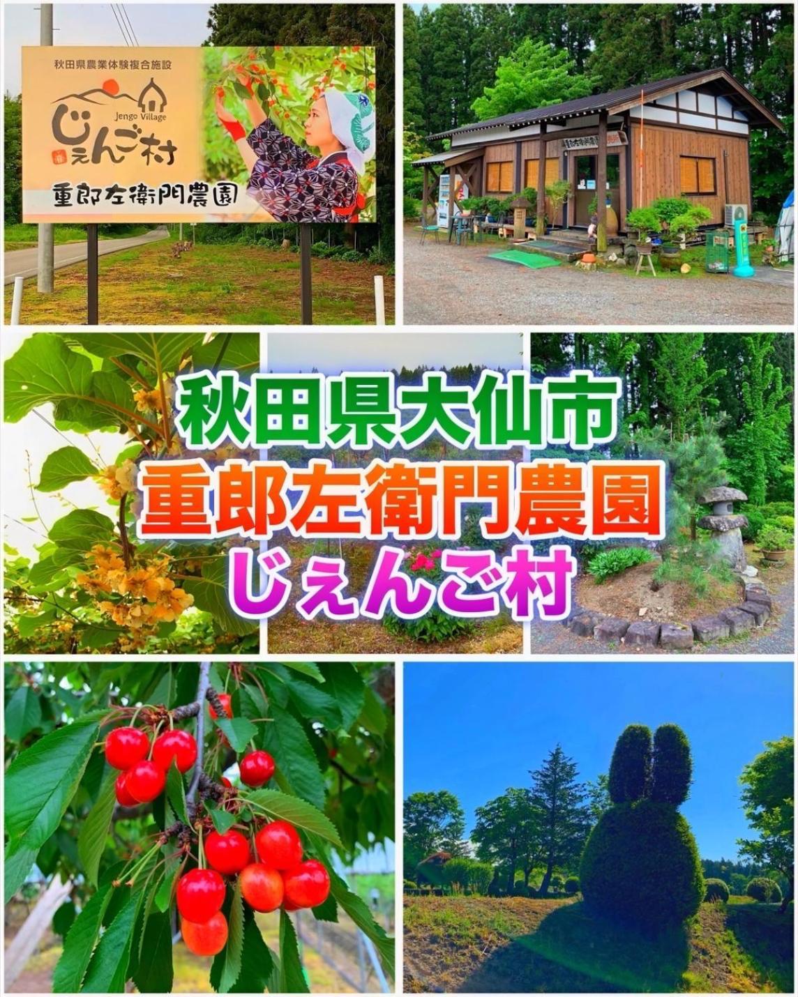Hotel Dolphia-Adult Only Daisen  Екстер'єр фото